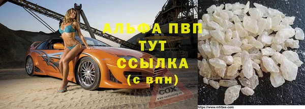 эйфоретик Инсар