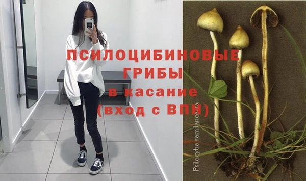 эйфоретик Инсар