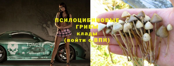 эйфоретик Инсар